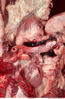 RAW meat pork viscera 0051
